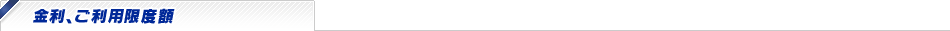 金利、ご利用限度額
