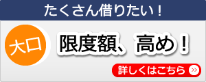 限度額、高め！